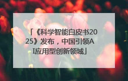 《科学智能白皮书2025》发布，中国引领AI应用型创新领域