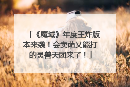 《魔域》年度王炸版本来袭！会卖萌又能打的灵兽天团来了！