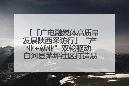 「广电融媒体高质量发展陕西采访行」“产业+就业”双轮驱动 白河县茅坪社区打造易地搬迁后扶新样本