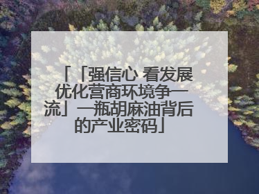 「强信心 看发展 优化营商环境争一流」一瓶胡麻油背后的产业密码