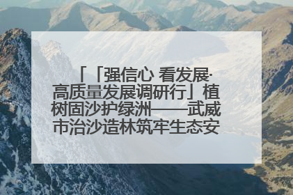 「强信心 看发展·高质量发展调研行」植树固沙护绿洲——武威市治沙造林筑牢生态安全屏障见闻