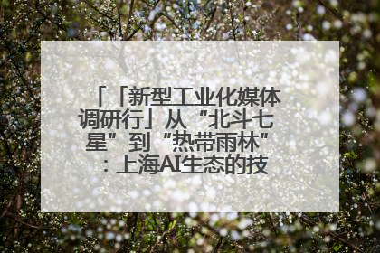 「新型工业化媒体调研行」从“北斗七星”到“热带雨林”：上海AI生态的技术商业共生密码
