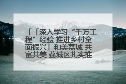 「深入学习“千万工程”经验 推进乡村全面振兴」和美荔城 共富共美 荔城区扎实推进乡村振兴工作