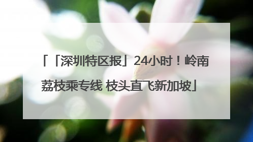「深圳特区报」24小时！岭南荔枝乘专线 枝头直飞新加坡