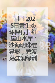 「2025甘肃生态环保行」红崖山水库：沙海明珠绽异彩，碧波荡漾润绿洲