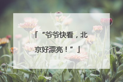“爷爷快看，北京好漂亮！”