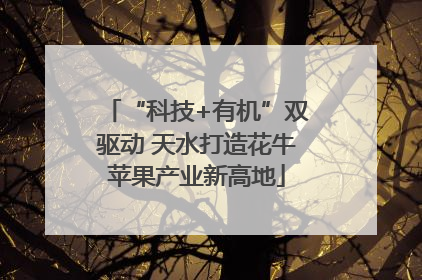 “科技+有机”双驱动 天水打造花牛苹果产业新高地