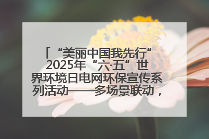 “美丽中国我先行” 2025年“六·五”世界环境日电网环保宣传系列活动——多场景联动，共筑生态发展新图景