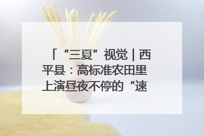 “三夏”视觉｜西平县：高标准农田里上演昼夜不停的“速度与激情”