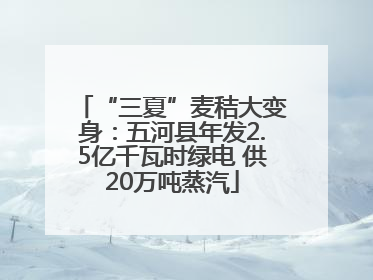 “三夏”麦秸大变身：五河县年发2.5亿千瓦时绿电 供20万吨蒸汽