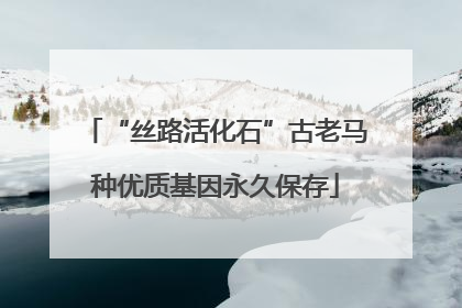 “丝路活化石”古老马种优质基因永久保存