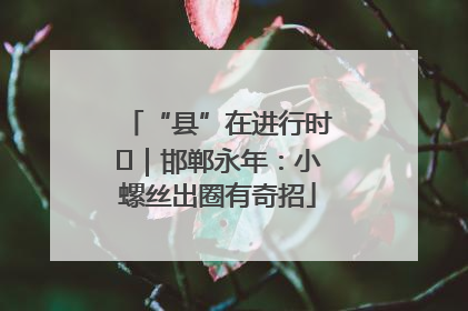 “县”在进行时⑬｜邯郸永年：小螺丝出圈有奇招