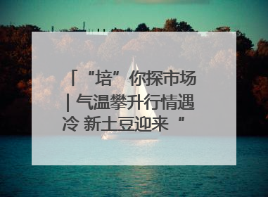 “培”你探市场｜气温攀升行情遇冷 新土豆迎来“熊市”？