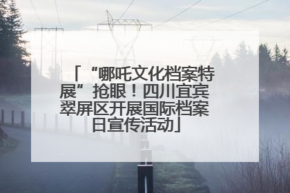 “哪吒文化档案特展”抢眼！四川宜宾翠屏区开展国际档案日宣传活动