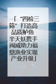 “四检三筛”打造高品质鲈鱼 半天妖携手闽威助力福鼎渔业实现产业升级