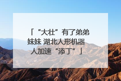 “大壮”有了弟弟妹妹 湖北人形机器人加速“添丁”