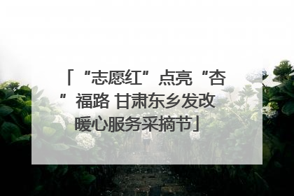 “志愿红”点亮“杏”福路 甘肃东乡发改暖心服务采摘节