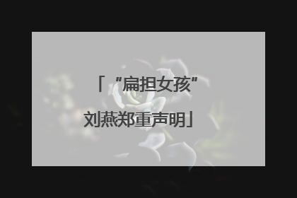 “扁担女孩”刘燕郑重声明