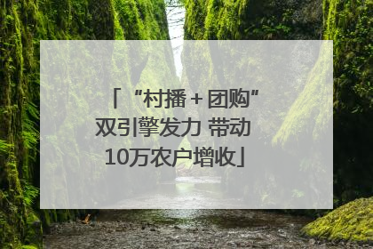 “村播＋团购”双引擎发力 带动10万农户增收