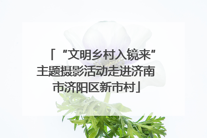 “文明乡村入镜来”主题摄影活动走进济南市济阳区新市村