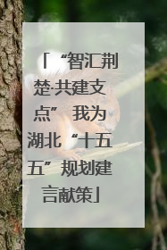 “智汇荆楚·共建支点” 我为湖北“十五五”规划建言献策
