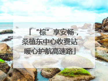 “棕”享安畅，桑植东中心收费站暖心护航高速路