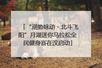 “潮势咏动・北斗飞阳”月湖迷你马拉松全民健身赛在汉启动