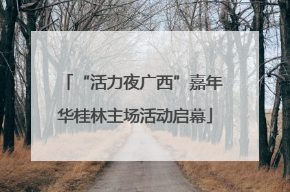 “活力夜广西”嘉年华桂林主场活动启幕