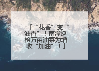 “花香”变“油香”！南漳巡检万亩油菜为增收“加油”！