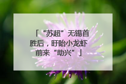 “苏超”无锡首胜后，盱眙小龙虾前来“助兴”