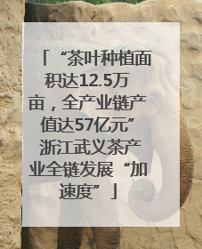 “茶叶种植面积达12.5万亩，全产业链产值达57亿元” 浙江武义茶产业全链发展“加速度”