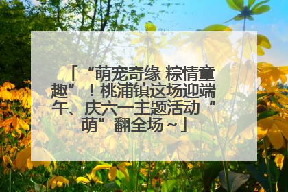 “萌宠奇缘 粽情童趣”！桃浦镇这场迎端午、庆六一主题活动“萌”翻全场～