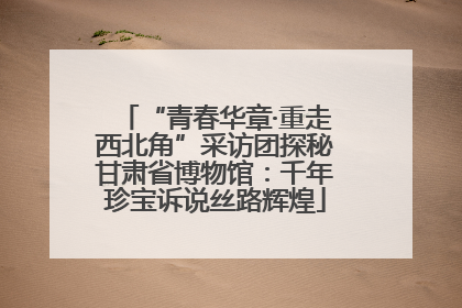 “青春华章·重走西北角”采访团探秘甘肃省博物馆：千年珍宝诉说丝路辉煌