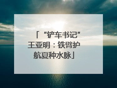 “铲车书记”王亚明：铁臂护航夏种水脉