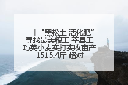 “黑松土 活化肥”寻找最美粮王 莘县王巧英小麦实打实收亩产1515.4斤 超对照田144斤！