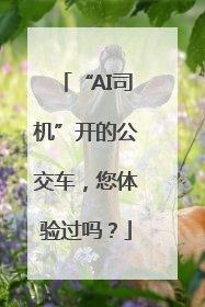 “AI司机”开的公交车，您体验过吗？