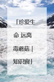 珍爱生命 远离毒蘑菇｜知识窗