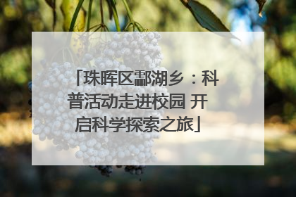 珠晖区酃湖乡：科普活动走进校园 开启科学探索之旅