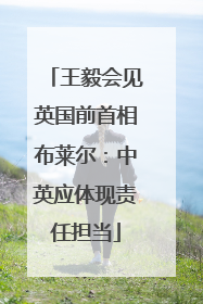 王毅会见英国前首相布莱尔：中英应体现责任担当