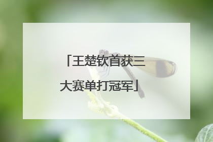 王楚钦首获三大赛单打冠军