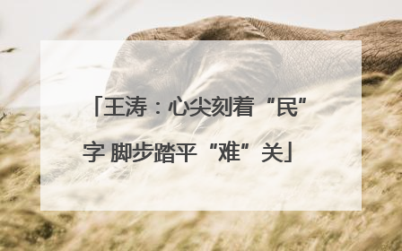 王涛：心尖刻着“民”字 脚步踏平“难”关