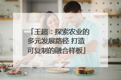 王超：探索农业的多元发展路径 打造可复制的融合样板