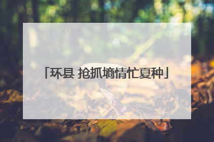 环县 抢抓墒情忙夏种