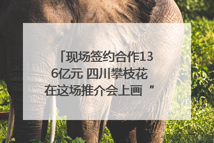 现场签约合作136亿元 四川攀枝花在这场推介会上画“图谱”列“清单”