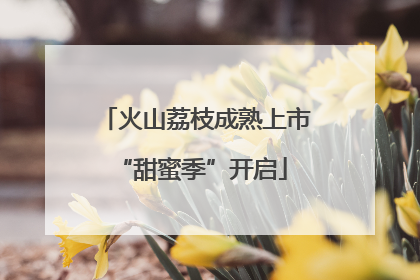 火山荔枝成熟上市 “甜蜜季”开启