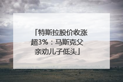 特斯拉股价收涨超3%：马斯克父亲劝儿子低头