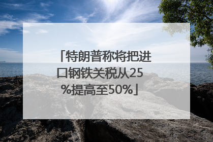 特朗普称将把进口钢铁关税从25%提高至50%