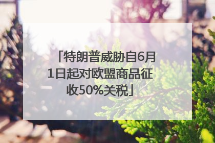特朗普威胁自6月1日起对欧盟商品征收50%关税