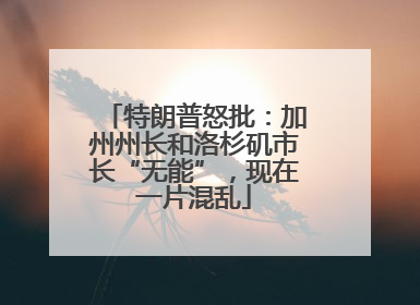 特朗普怒批：加州州长和洛杉矶市长“无能”，现在一片混乱