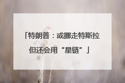 特朗普：或挪走特斯拉 但还会用“星链”